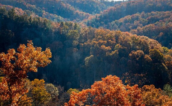 Best Asheville Hiking Trails For Your Trip To The Smoky Mountains